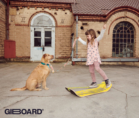 GiBoard - Roots Rocker Travel