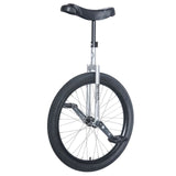 Grå Nimbus 24 tums enhjuling – pålitlig modell för nybörjare och allroundcykling