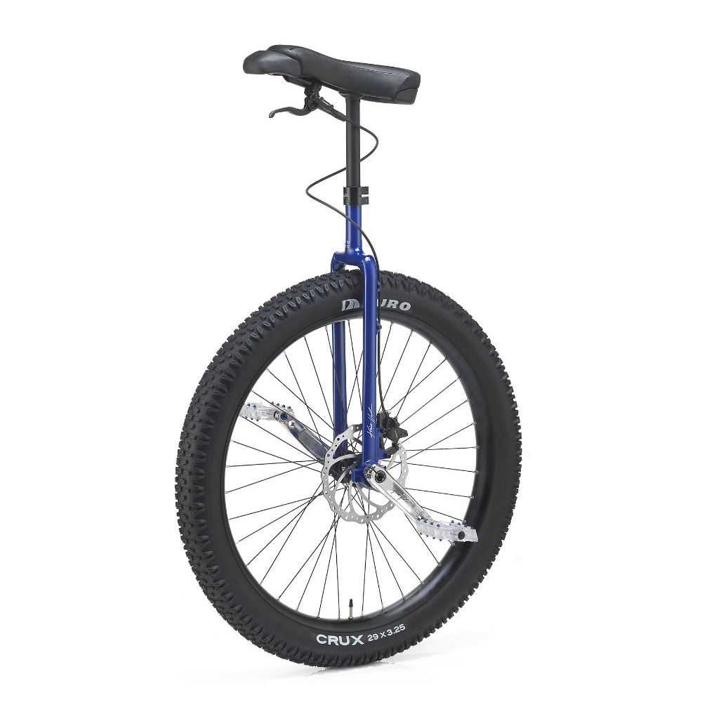 Kris Holm MUni 29″