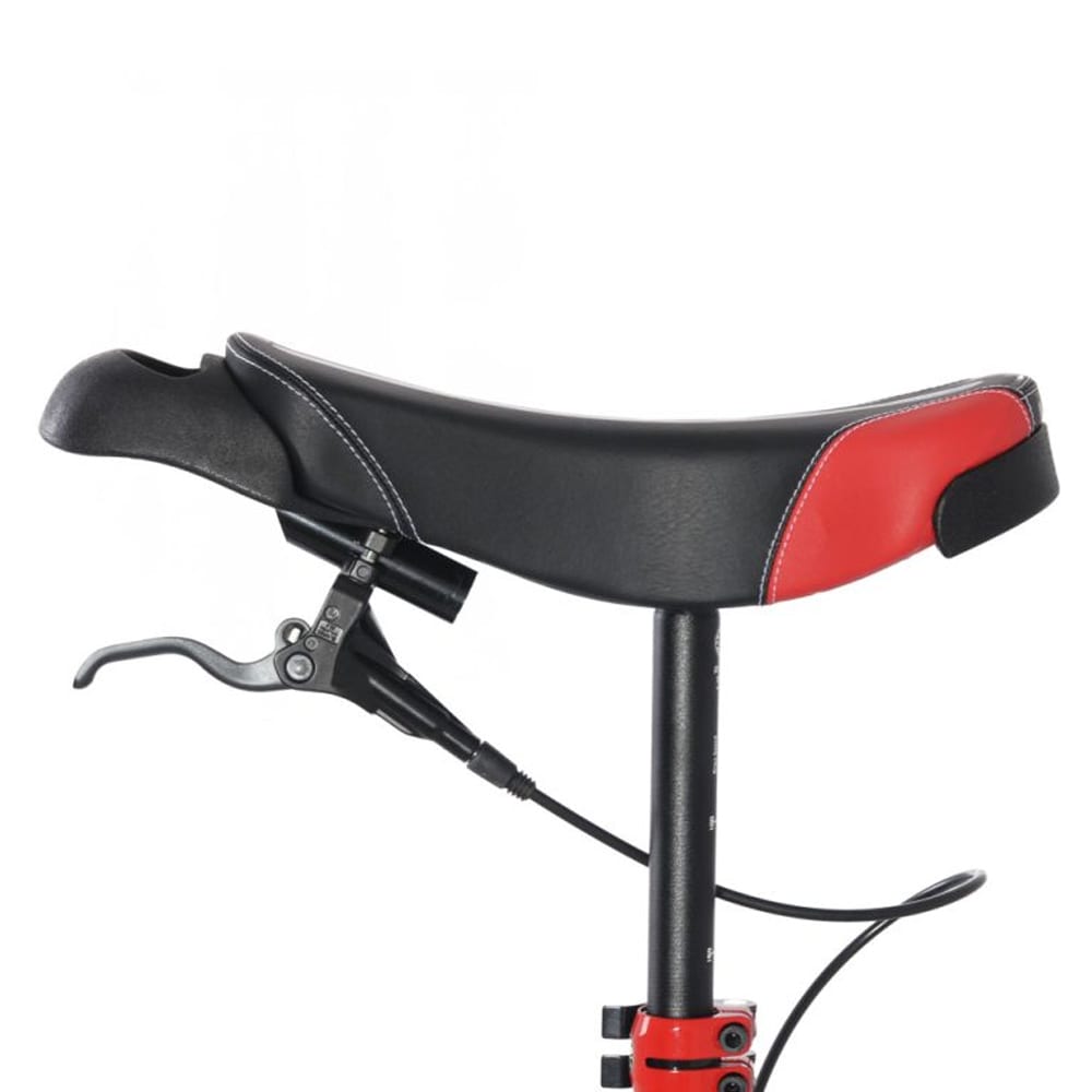 Nimbus Oracle 26″